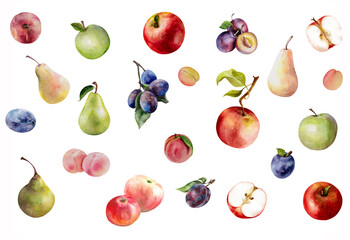 Watercolor set. Juicy fruits, apple, peach, apricot, plum, pear. White background. Suitable for design, printing and advertising projects.
