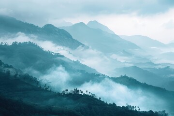 Misty morning mountains in Kerala  nature tourism concept image.