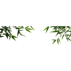 Fototapeta premium Fresh green bamboo leaves frame a clean, white background, creating a serene and minimalist aesthetic.