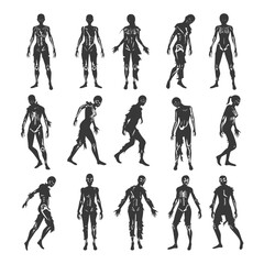 Fototapeta premium A Collection of 12 Black and White Female Zombie Silhouettes