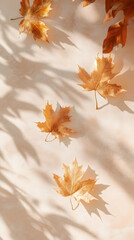 Dried maple leaves are arranged on a pastel sunlit background with shadows, capturing the essence of autumn and thanksgiving.    