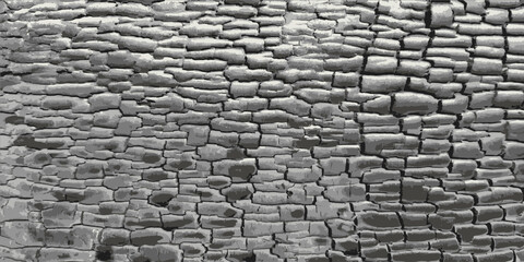 Charred wood texture. Vintage burnt wood background. Vector illustration