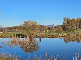 lake in autumn