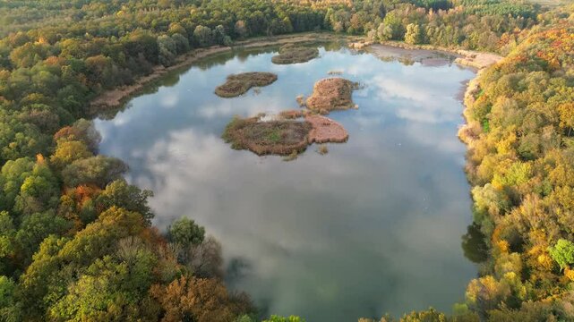 Ponds in autumn, bird's eye view
