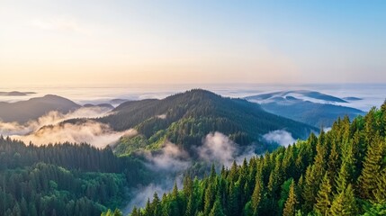 Serene landscape of rolling hills blanketed in mist, surrounded by lush green forests under a soft, golden sunrise.