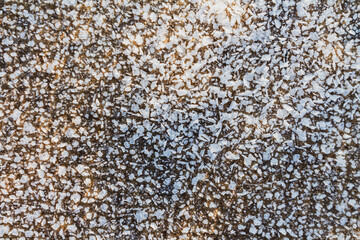 Frost sparkles on tree branches, frost creates icy patterns, and snow cover gives nature a winter wonderland