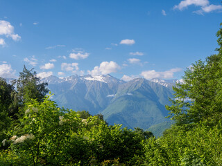 An amazing fusion of nature: green meadows at the foot of the mountains, soft clouds framing the...