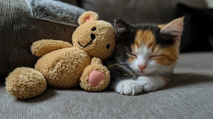 Fototapeta premium Sleeping Kitten and Teddy Bear on a Couch