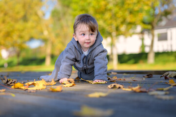 Curious Toddler Among Autumn Leaves