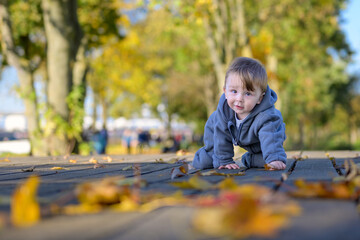 Toddler Exploring Autumn Leaves Path