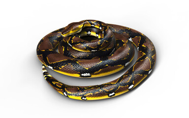 3d Illustration of A Golden Reticulated Python, Boa Constrictor The World's Biggest Snake Isolated Background.
