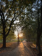 A peaceful park scene at sunrise with sun rays streaming through the trees, a pathway leading into the distance, and a wooden bench under the foliage. A tranquil autumn morning atmosphere.