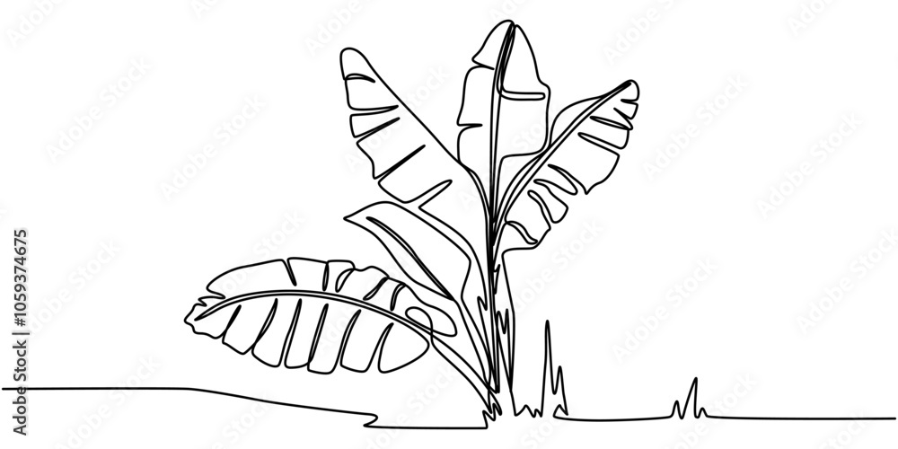Poster bird of paradise banana leaf continuous line drawing, banana leaves with banana tree continuous line