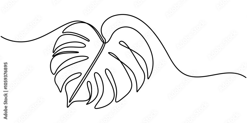Poster continuous line drawing of a monstera isolated on white background, leaf monstera continuous one lin