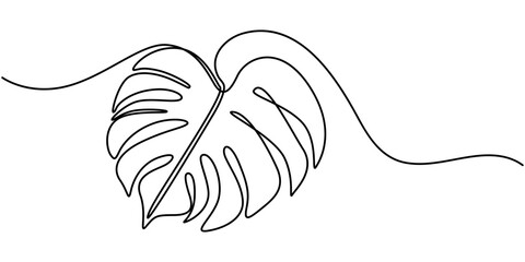 Continuous line drawing  of a Monstera  isolated on white background, Leaf monstera continuous one line art drawing of outline vector illustration, Continuous one line drawing of monstera leaf. © line draw