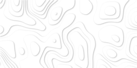 Abstract White paper cut background with lines. white line drawing geometric paper art design. 3d papercut decoration textured with wavy layers. 3d realistic design used for banner, posters. line maps