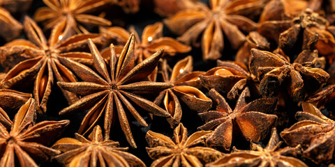 Close up Anise star food background, fragrant spices dry brown anise seeds on black background, natural organic seasoning texture, dark colored banner, selective focus