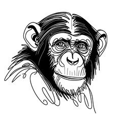 Fototapeta premium Chimpanzee is looking at the camera single continuous line vector illustration isolated on white background