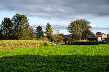 Colorful autumn landscape with agriculture fields in Sint Martens Lennik, Flemish Brabant, Belgium