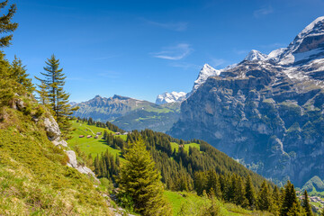 The Swiss Alps at Murren, Switzerland. Jungfrau Region. The valley of Lauterbrunnen from Interlaken.