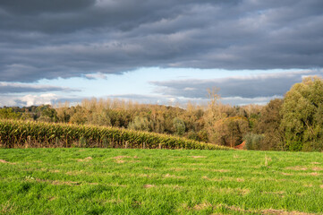 Fototapeta premium Colorful autumn landscape with agriculture fields in Sint Martens Lennik, Flemish Brabant, Belgium
