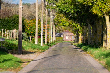 Empty cobble stone road through the autumn landscape of Sint Martens Lennik, Flemish Brabant, Belgium