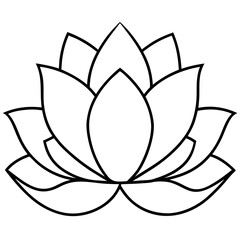 lotus flower