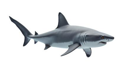 Obraz premium Shark on Transparent Background (PNG).