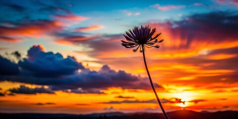 Silhouette of Abstract Modern Flower at Sunset - Vibrant Colors, Nature's Beauty, Artistic Landscape, Floral Design, Minimalist Aesthetic, Serene Environment, Botanical Art, Tranquil Scene