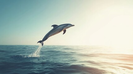 Dolphin jumping playfully out of the water against a clear sky, showcasing its joy and grace.