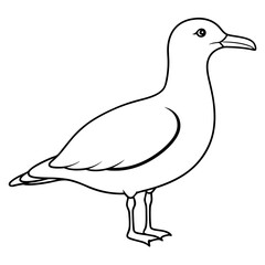 duck isolated on white