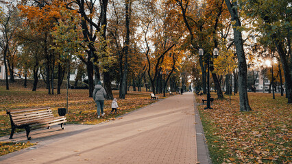 autumn in the park