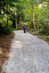 Obraz premium Senior woman with a walking stick getting fresh air on a gravel trail on a sunny fall day in the woods in Kirkland’s Watershed Park 