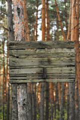 An old wooden sign covered in mold hangs on a tree in the forest in the countryside.