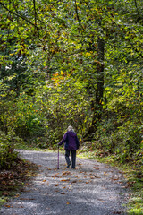Fototapeta premium Senior woman with a walking stick getting fresh air on a gravel trail on a sunny fall day in the woods in Kirkland’s Watershed Park 