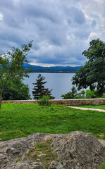 view of a pond surrounded by green trees
