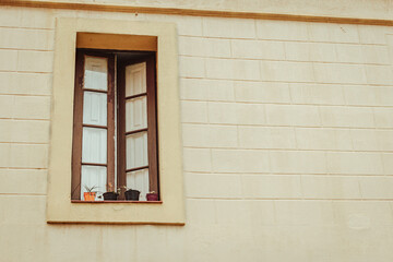 Modern window with plants in Barcelona