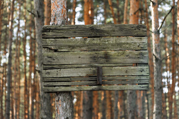 An old wooden sign hangs on a tree in the forest in the countryside.