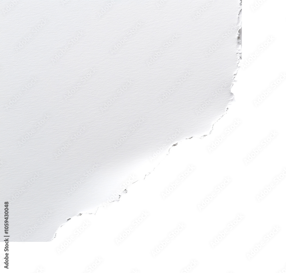 Canvas Prints torn edge of white paper on a blank background transparent