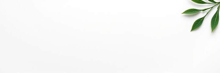 Blank white paper with plenty of space for text or graphics, isolated, illustration