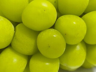 Close up Fresh Shine Muscat grape. Japanese fruit