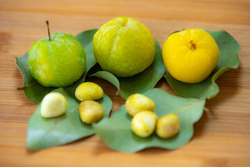 Ripe edible wild fruit from the Brazilian cerrado biome, fruit known as cagaita (Stenocalyx dysentericus) of the Magnoliopsida class and the Myrtaceae family.