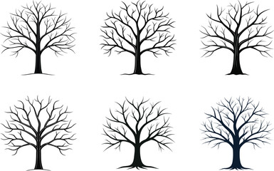Obraz premium Set of Leafless Tree Silhouettes vector Illustrations Design