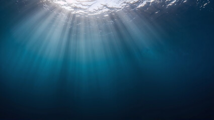 Obraz premium Sunlight piercing through water creates ethereal underwater view.
