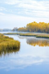 Fototapeta premium Healthy wetlands represent ecosystem stability with balanced flora and fauna, peaceful landscape, early morning mist, gentle reflections