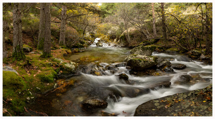 rio manzanares la pedriza