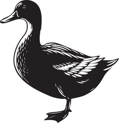 Black and White Image of a Duck: Graceful Simplicity in Monochrome