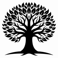 Black Trees and root with leaves look beautiful and refreshing