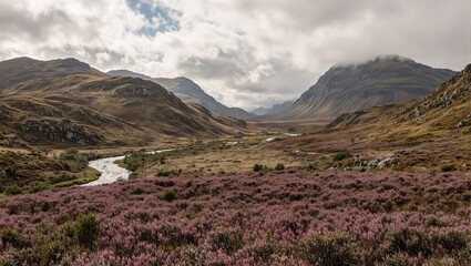 Fototapeta premium Scenic Scottish Highlands landscape with mountains river and purple heather under cloudy sky