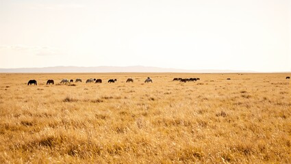 Obraz premium Tranquil Argentine pampas with golden grasslands and grazing horses